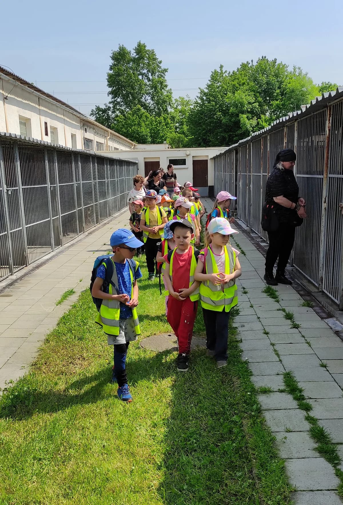 Poděkování MŠ Paskov,  Mixed Breed for adoption at Psí útulek — photo 8 of 14