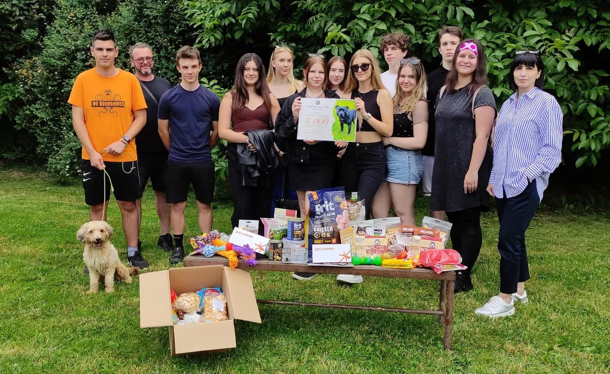 Velké „Děkujeme“ gymnáziu EDUCAnet,  Mixed Breed for adoption at Psí útulek