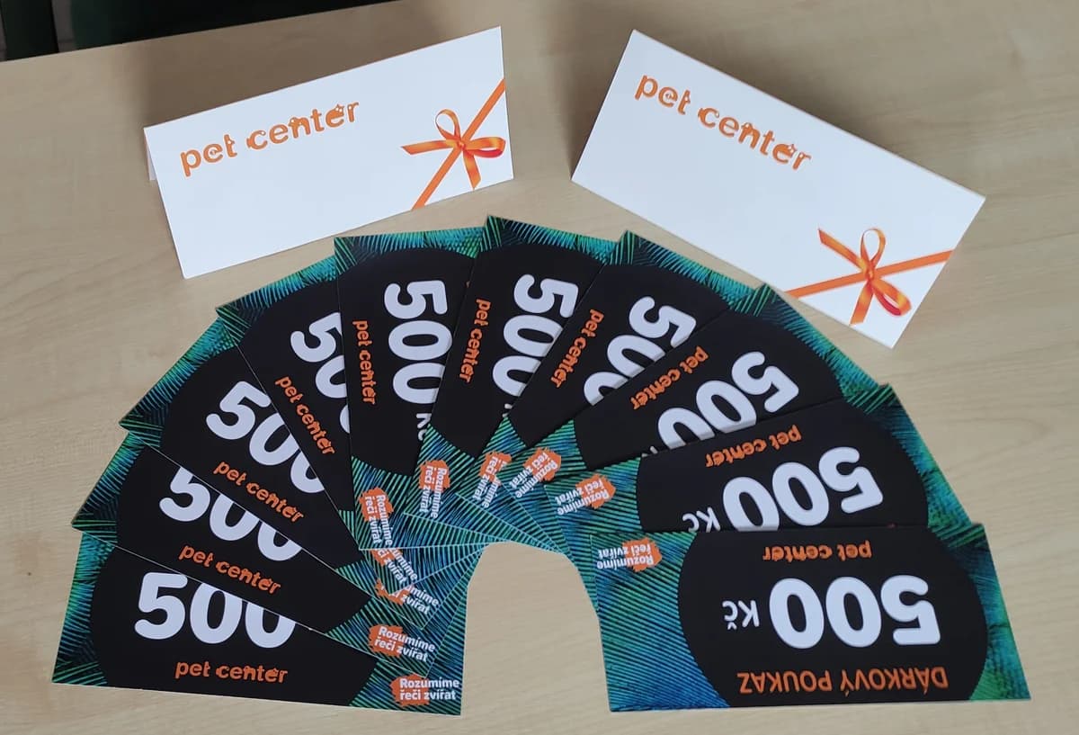 Velké „Děkujeme“ gymnáziu EDUCAnet,  Mixed Breed for adoption at Psí útulek — photo 3 of 4