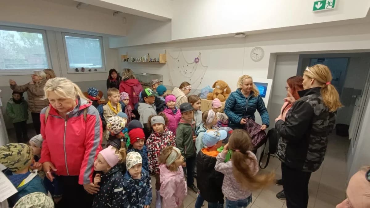 Poděkování ZŠ a MŠ Lubojaty,  Mixed Breed for adoption at Psí útulek