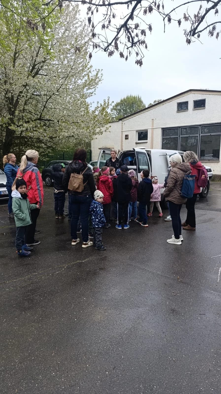 Poděkování ZŠ a MŠ Lubojaty,  Mixed Breed for adoption at Psí útulek — photo 2 of 4