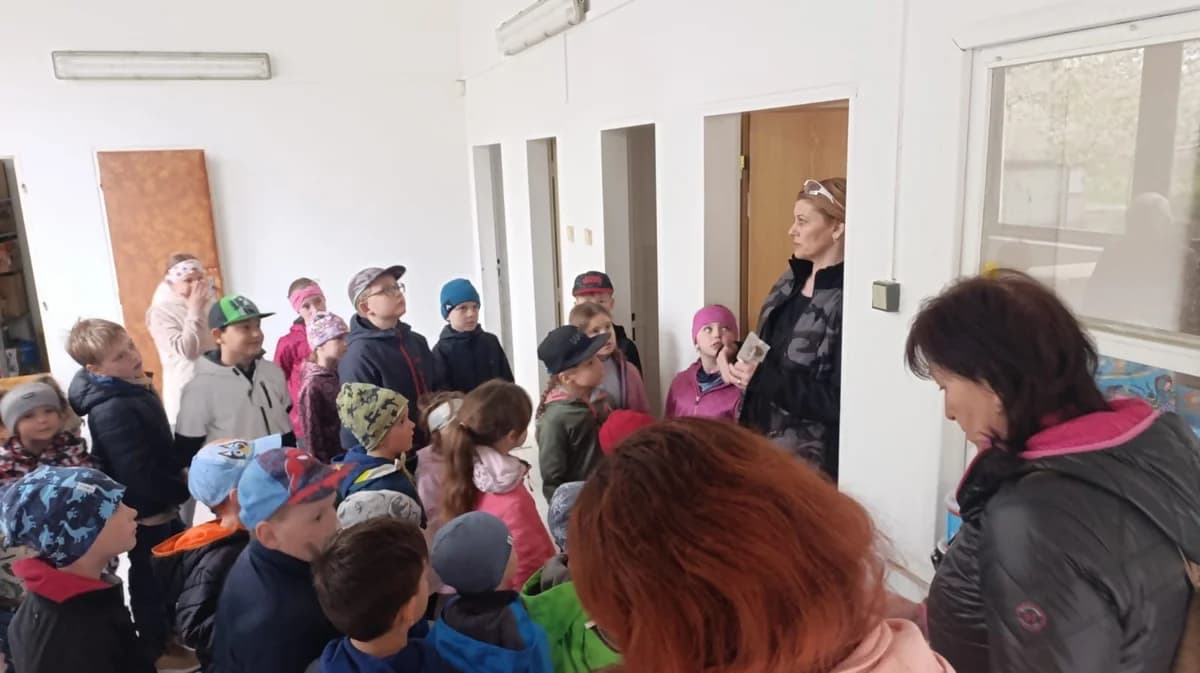 Poděkování ZŠ a MŠ Lubojaty,  Mixed Breed for adoption at Psí útulek — photo 3 of 4