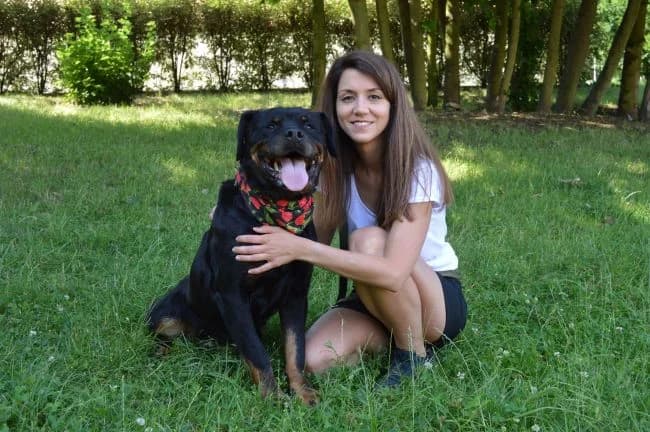 Bublina, female mixed breed for adoption at Útulek Jimlín — photo 3 of 3