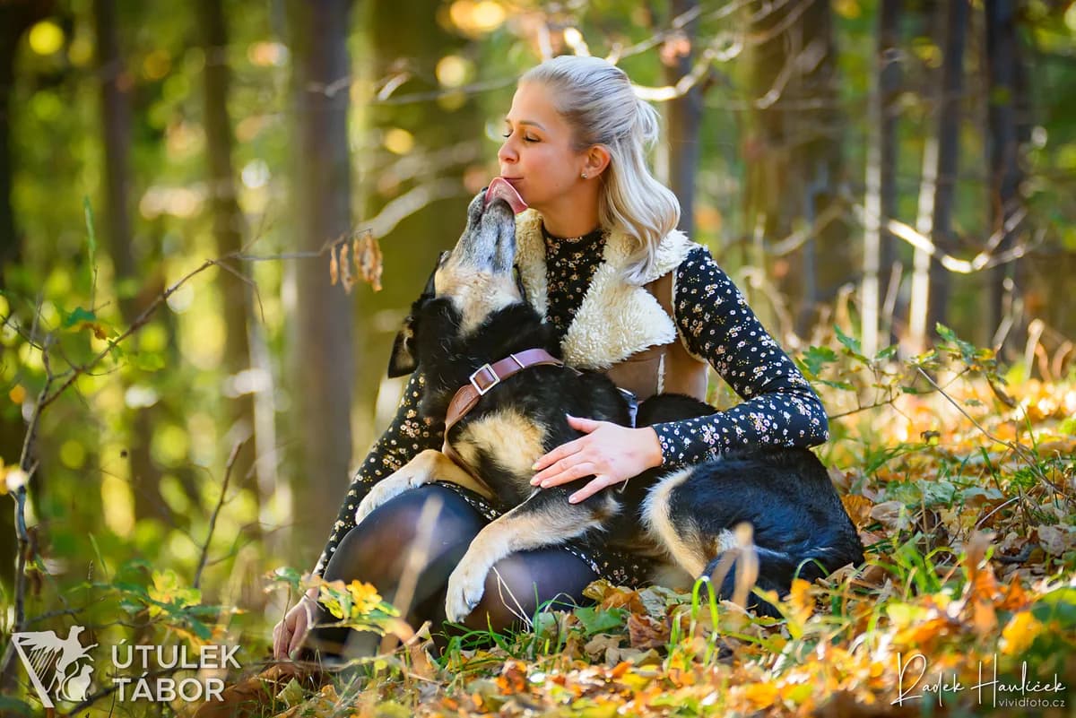 ALOHA, female mixed breed for adoption at Útulek Tábor — photo 3 of 5