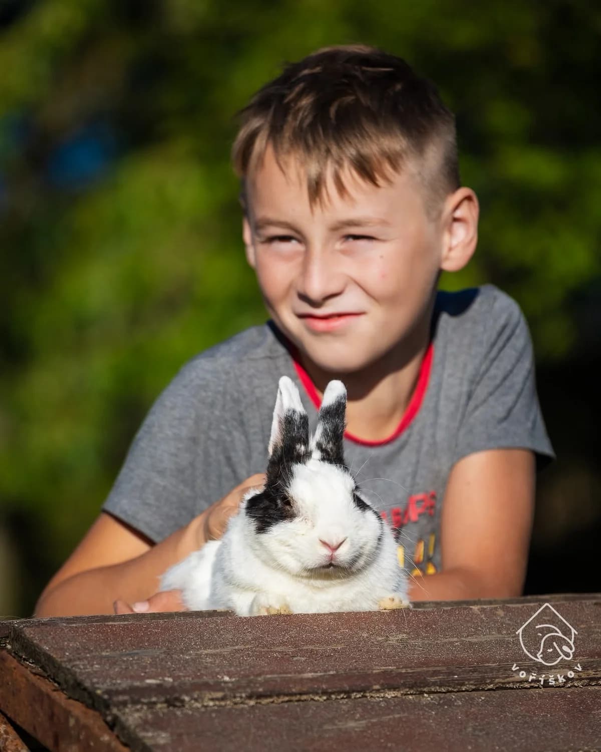 Adoptuj si Jacka,  mixed breed for adoption at Voříškov