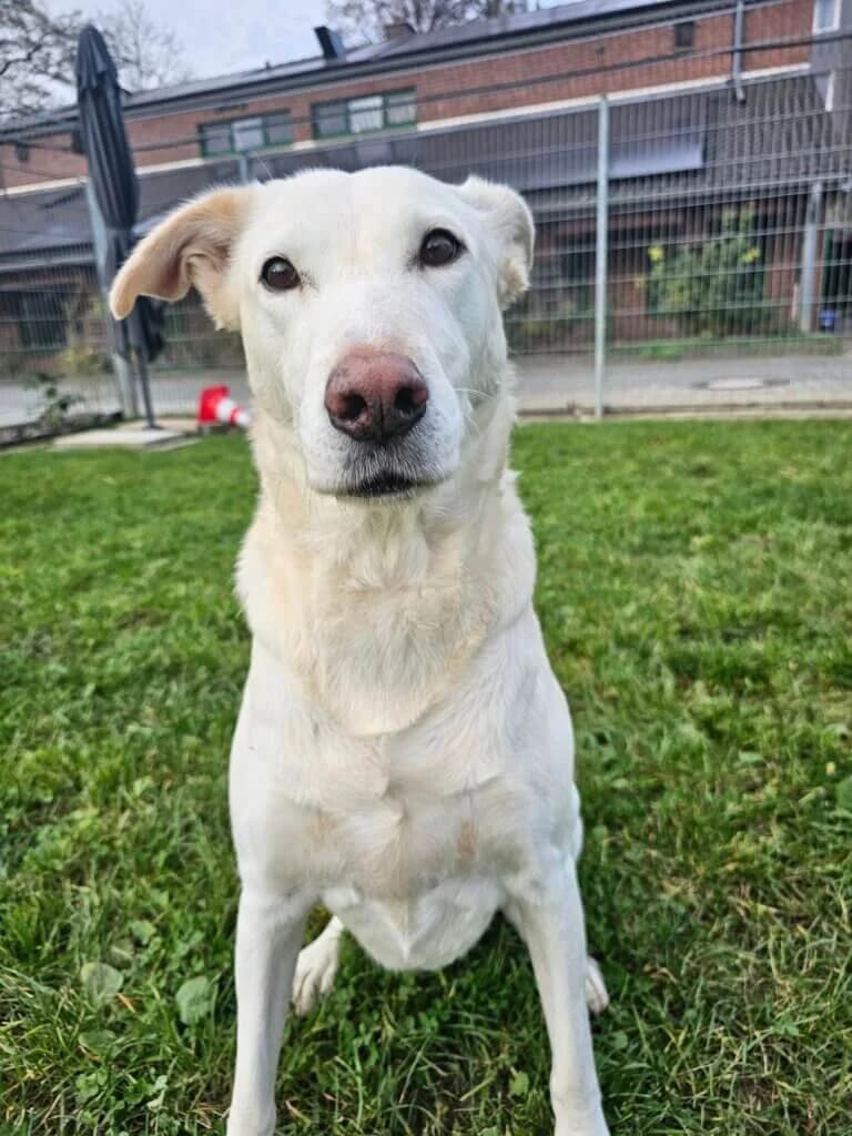 Luna und Bella photo 3