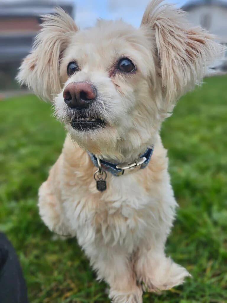 Luna und Bella photo 4