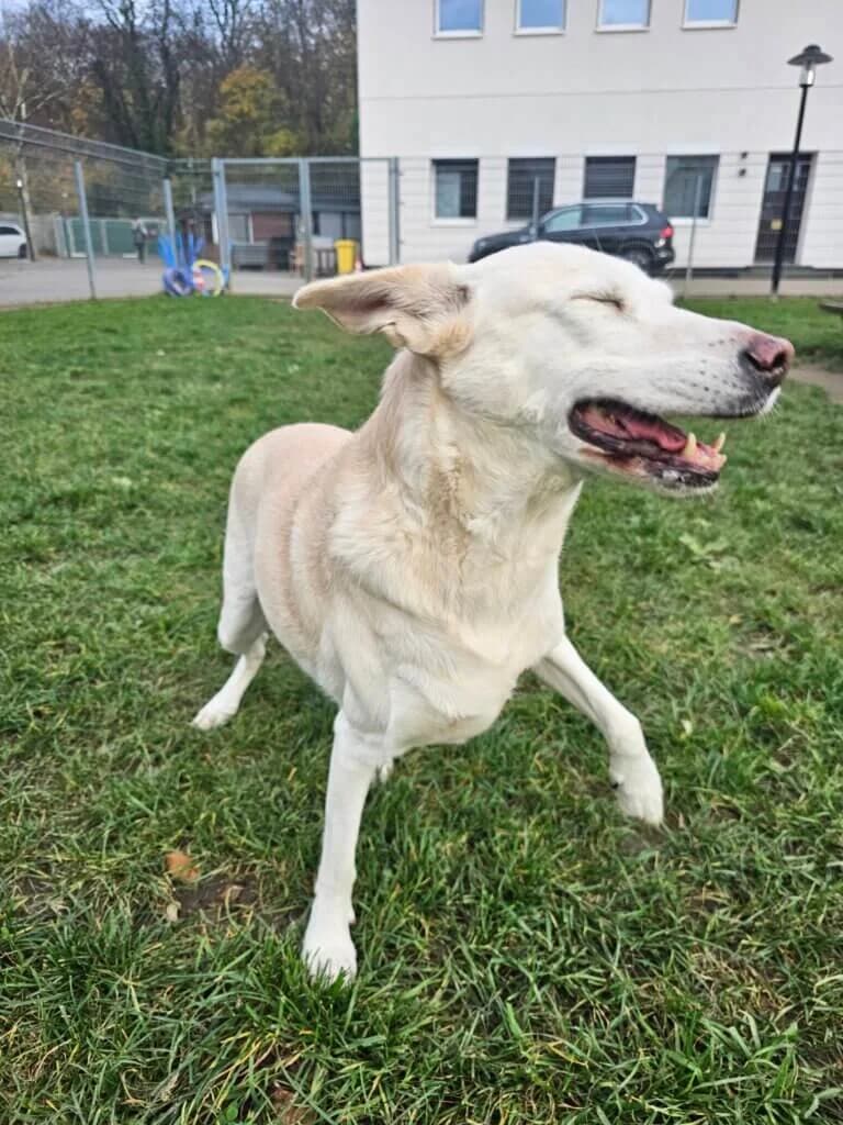 Luna und Bella photo 6