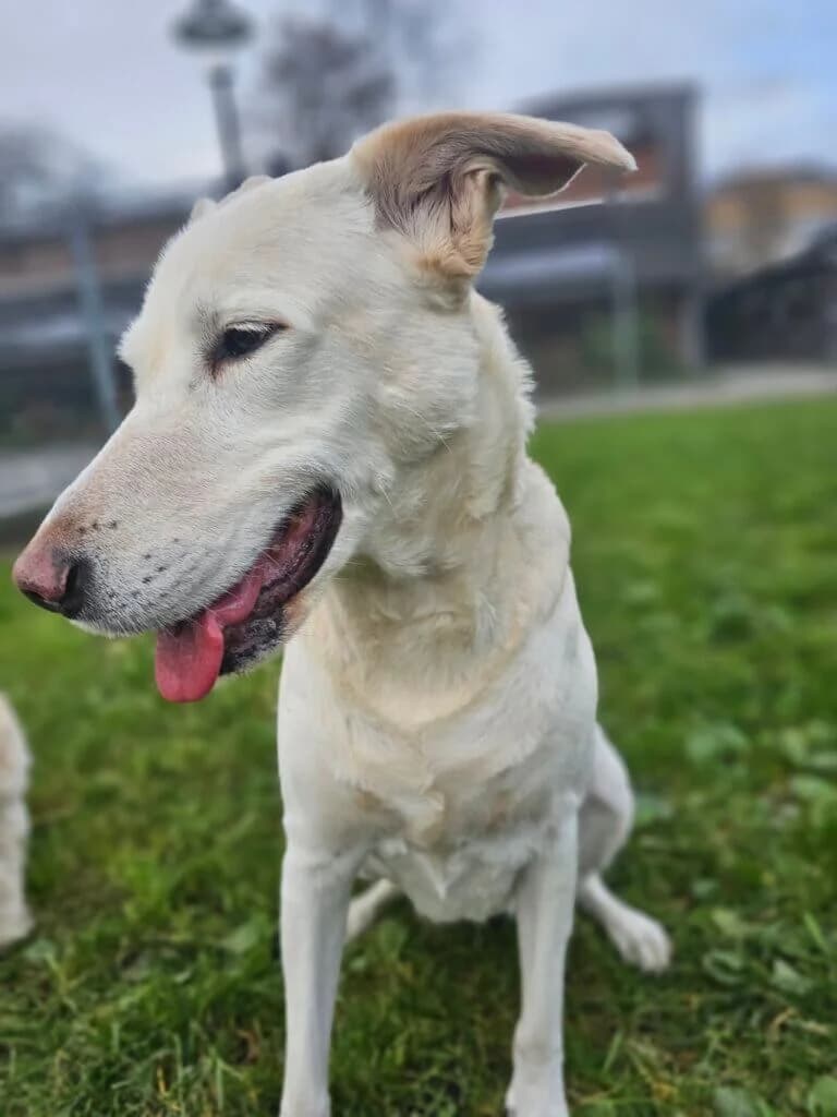 Luna und Bella photo 7