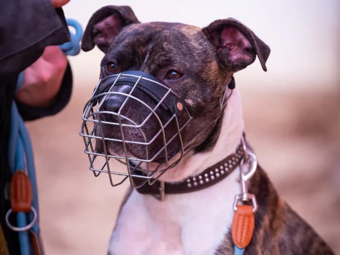 Störtebecker photo 8