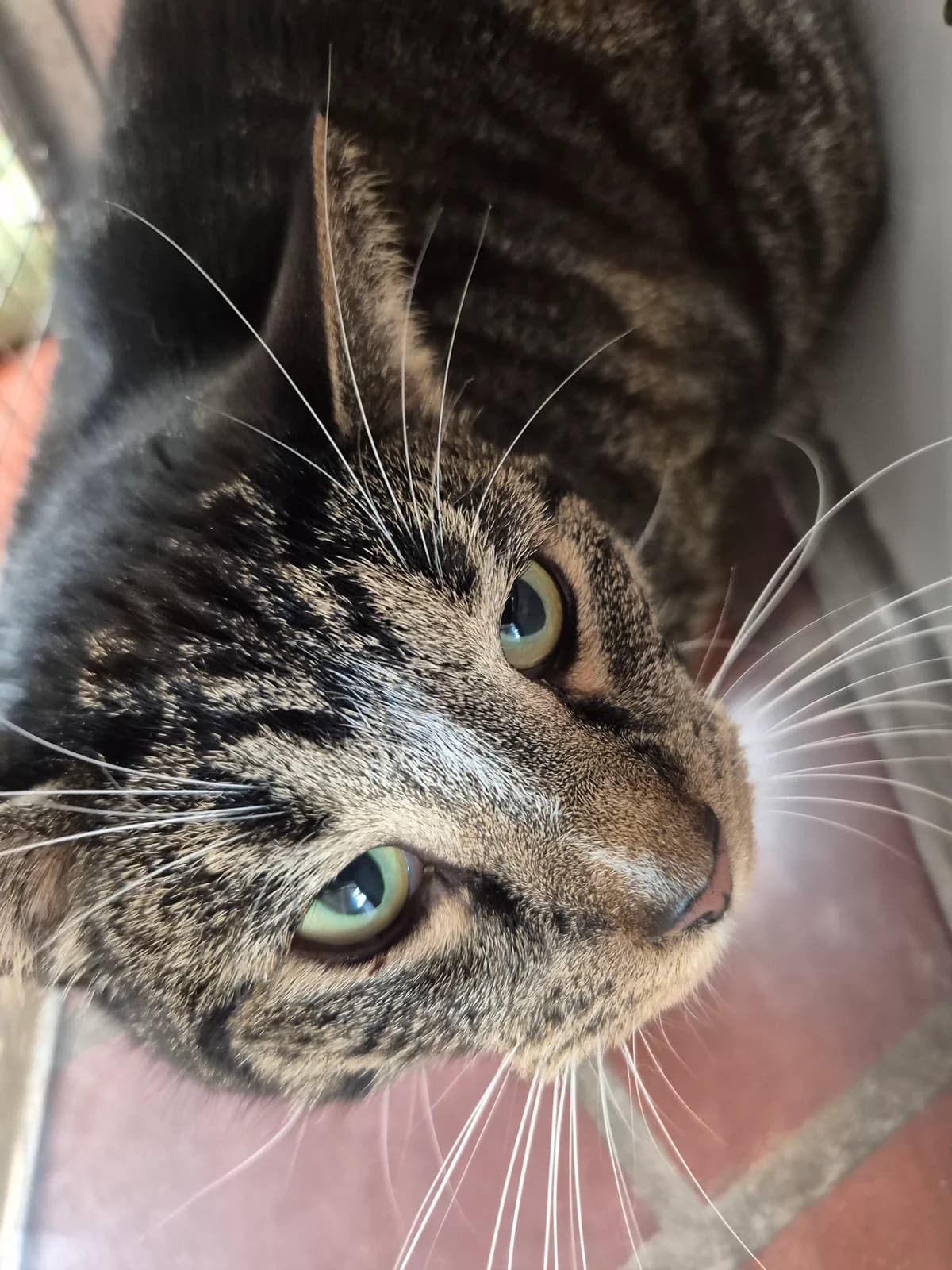 Willi & Pauli photo 2