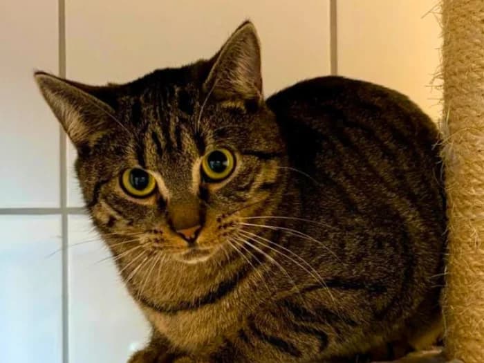 Koda und Kenai photo 8