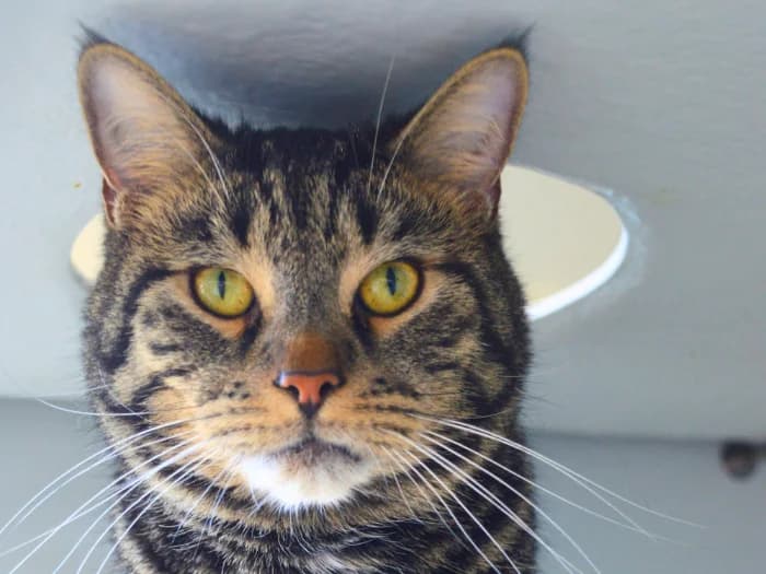 Benny und Nikki photo 8