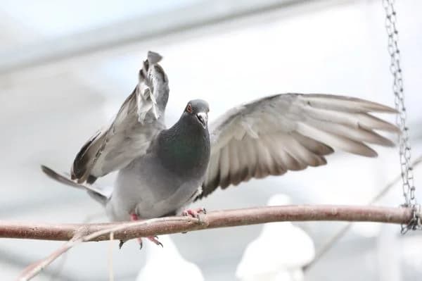 Sahnehäubchen & Fabian