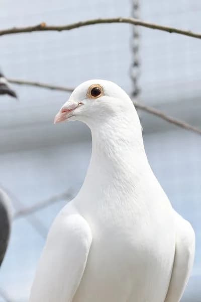 Sahnehäubchen & Fabian photo 2