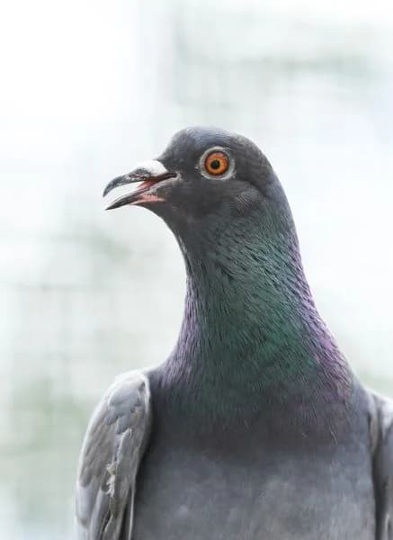 Sahnehäubchen & Fabian photo 3