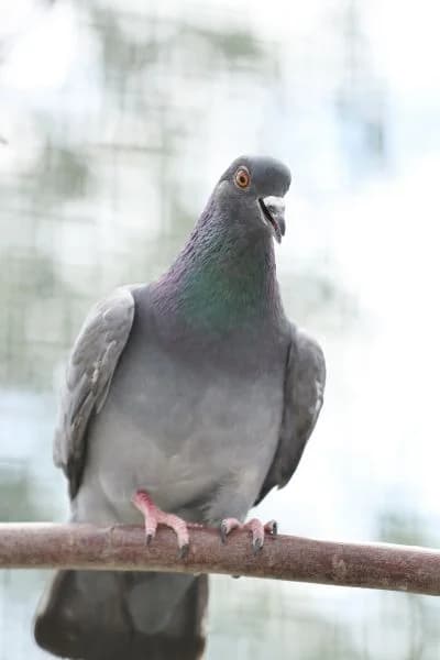 Sahnehäubchen & Fabian photo 4