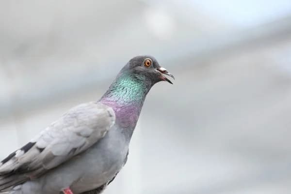 Sahnehäubchen & Fabian photo 5