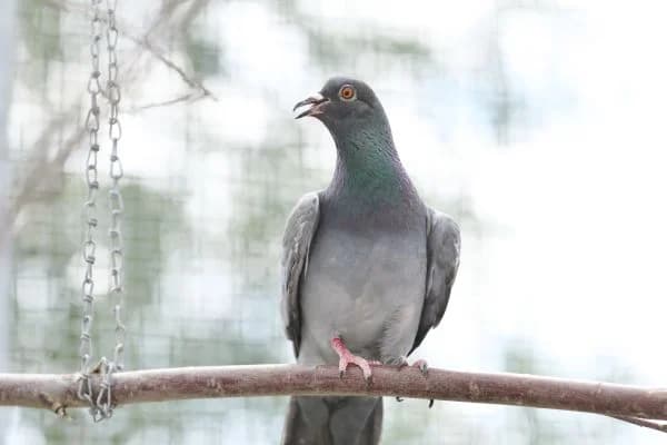 Sahnehäubchen & Fabian photo 7