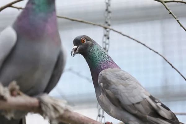 Sahnehäubchen & Fabian photo 8