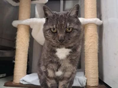 Tierheim Leipzig photo 2