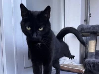 Tierheim Leipzig photo 2