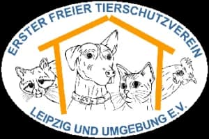 Snorre, Husky (Tierheim Leipzig)