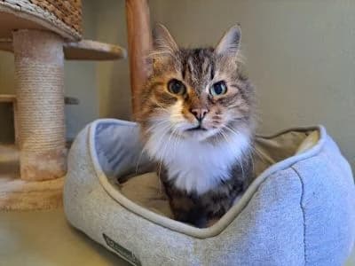 Tierheim Leipzig photo 2