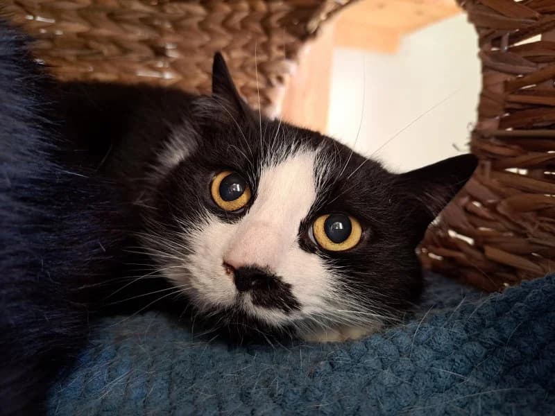 Tierheim Leipzig photo 2