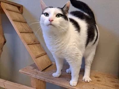 Tierheim Leipzig photo 2