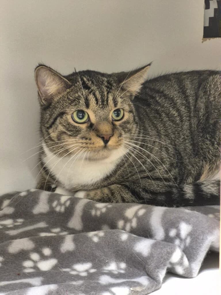 Lea & Leo - kleine Löwen brauchen etwas Zeit 🦁 photo 3