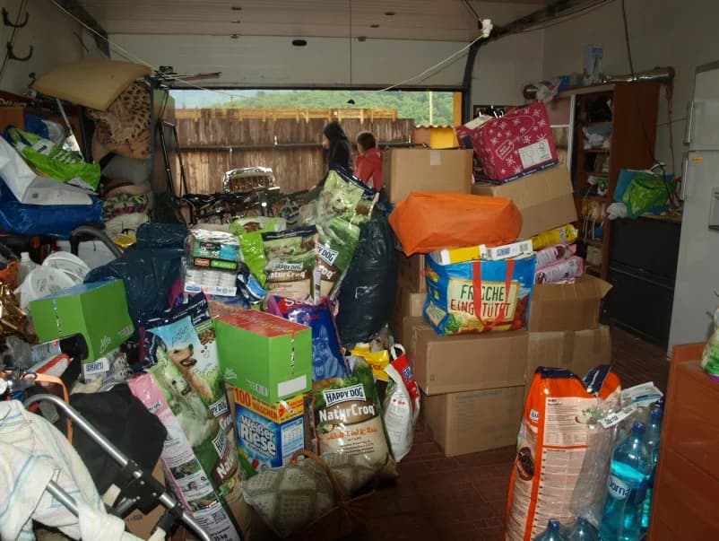 Unsere Reise nach Rumänien im Mai 2016, male Mixed Breed for adoption at Animal Souls e.V. — photo 3 of 21