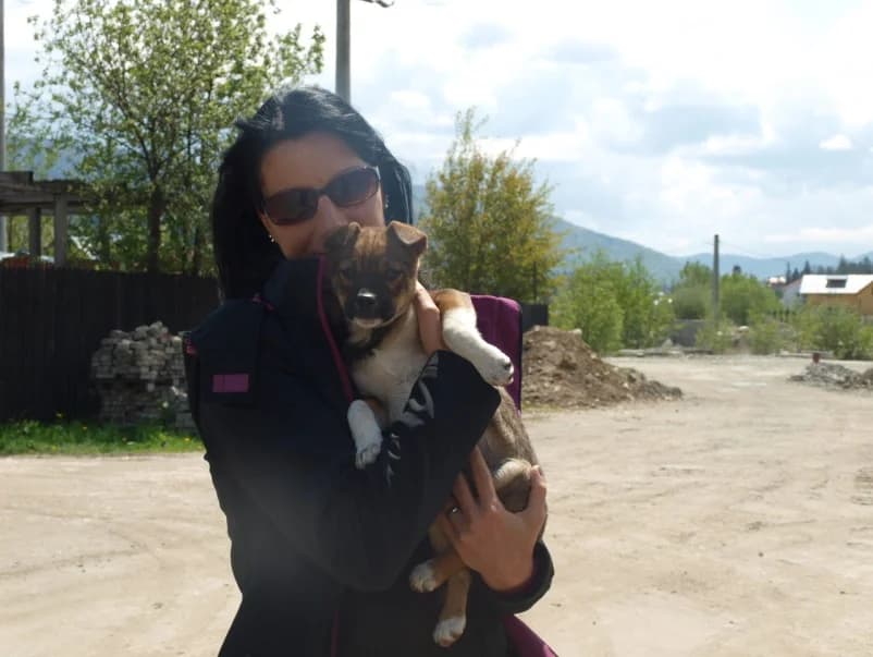 Unsere Reise nach Rumänien im Mai 2016, male Mixed Breed for adoption at Animal Souls e.V. — photo 7 of 21