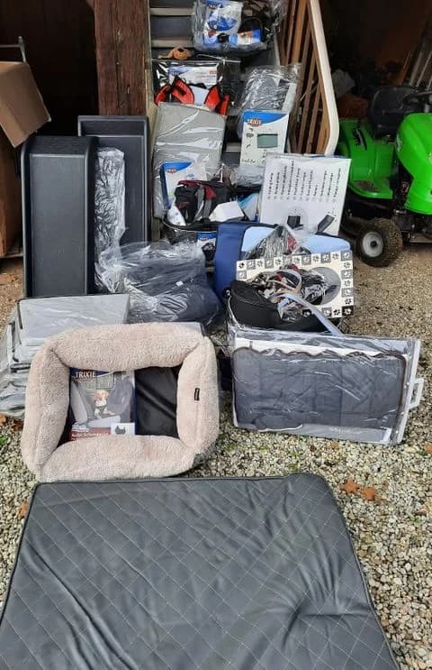 Tiierisch.de spendet große Palette Hundezubehör,  Mixed Breed for adoption at Animal Souls e.V.