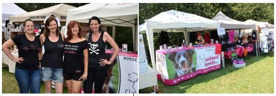 Infostand beim Mopsevent in Wernau 31.08.+01.09.2019,  Mixed Breed for adoption at Animal Souls e.V.