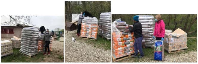 „Feed a Dog“: im November 2019,  Mixed Breed for adoption at Animal Souls e.V.