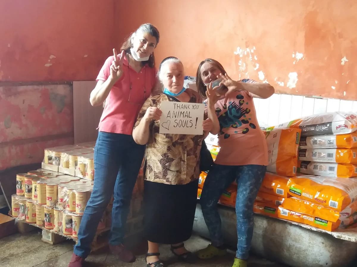 Feed a dog – Juni 2020 – Dalila und Aurelia,  Mixed Breed for adoption at Animal Souls e.V.