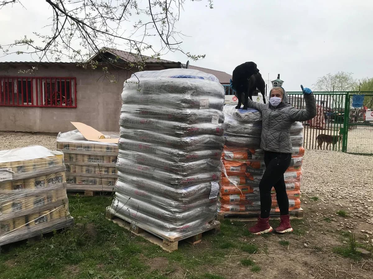 Feed a dog – April 2020 – Kola Kariola,  Mixed Breed for adoption at Animal Souls e.V.