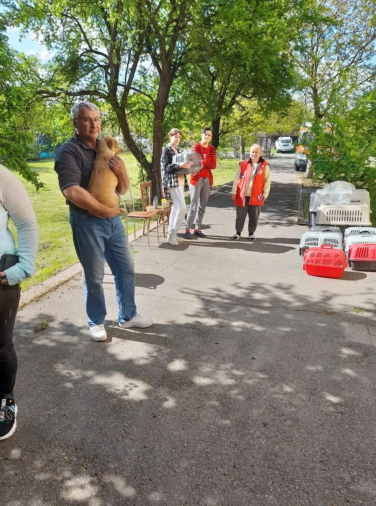 Kastrationskampagne – Mai 2022 – mit Dana Mares und Mircea Stefanache,  Mixed Breed for adoption at Animal Souls e.V. — photo 4 of 17