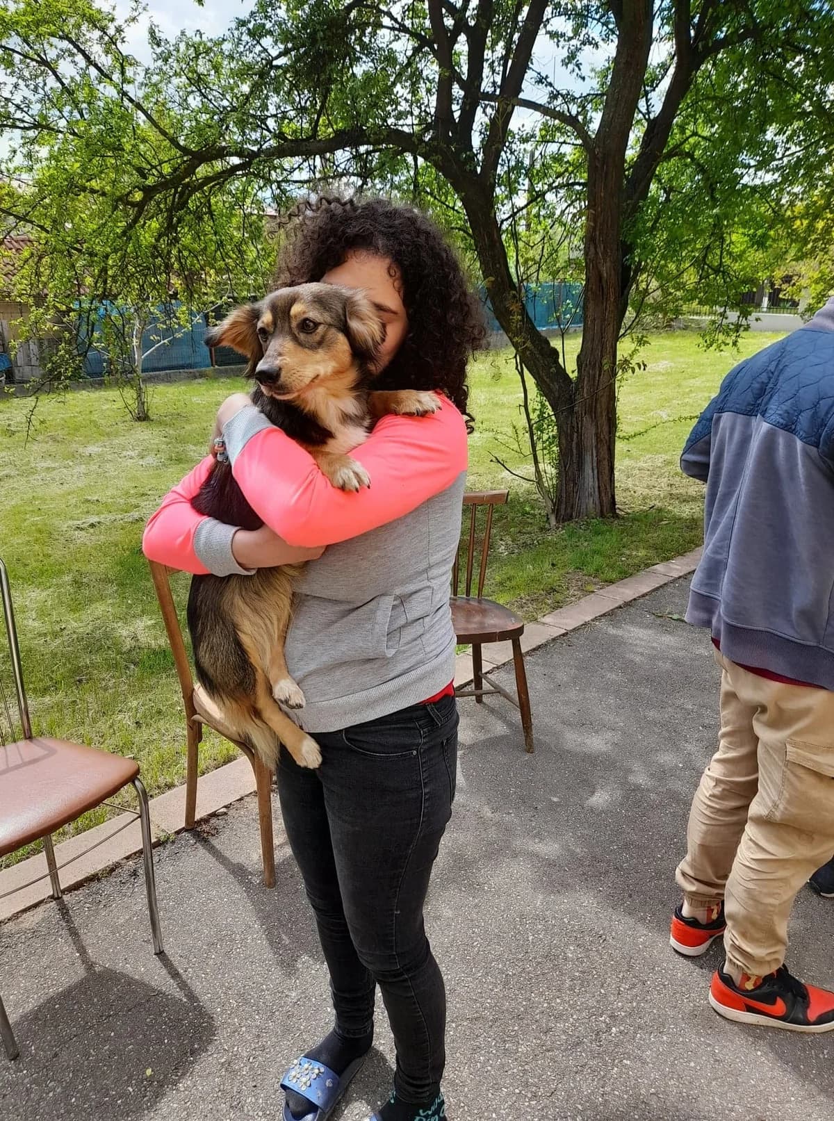 Kastrationskampagne – Mai 2022 – mit Dana Mares und Mircea Stefanache,  Mixed Breed for adoption at Animal Souls e.V. — photo 6 of 17