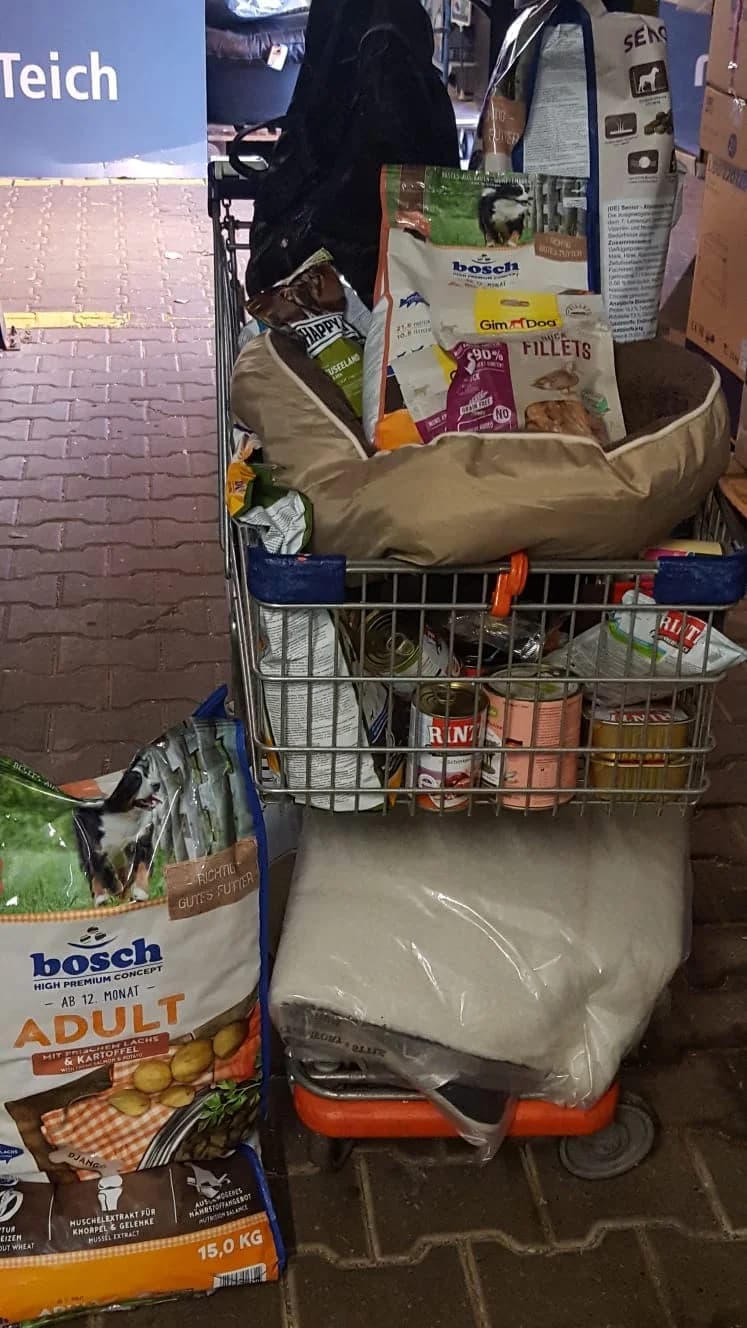 Danke an MEGA ZOO und Thomas Neurath für die großzügige Spende im Jahr 2021,  Mixed Breed for adoption at Animal Souls e.V.