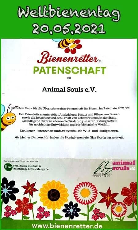 Weltbienentag 20.05.2021,  Mixed Breed for adoption at Animal Souls e.V.