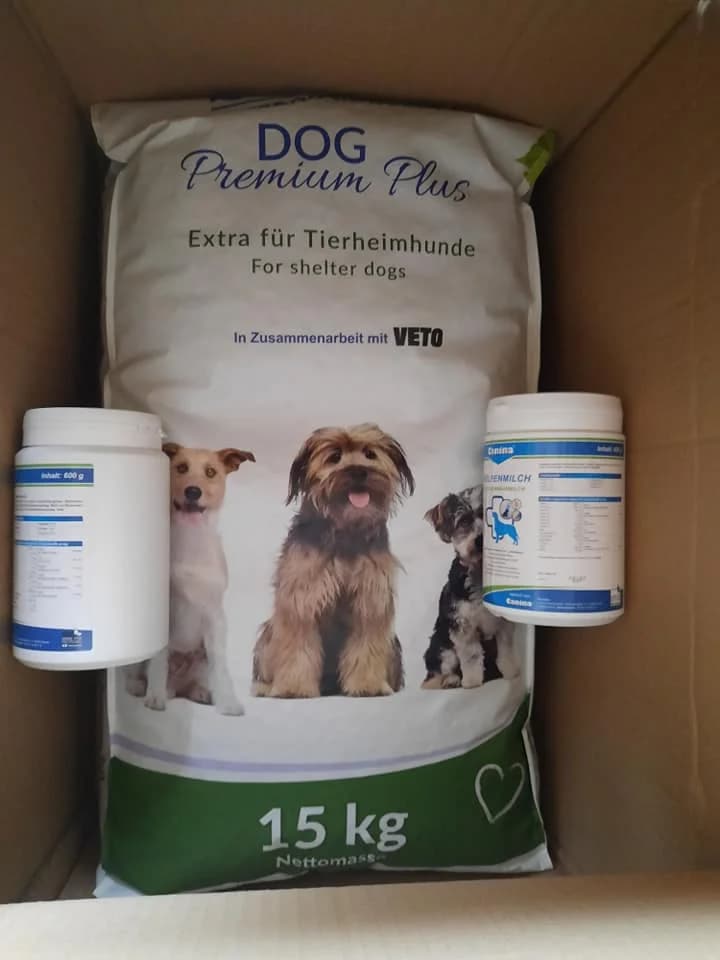 DANKESCHÖN an Veto Tierschutz für die Spende im Januar 2022,  Mixed Breed for adoption at Animal Souls e.V.