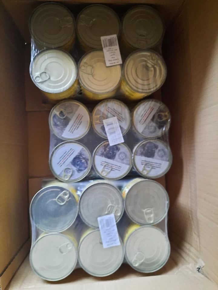 DANKESCHÖN an Veto Tierschutz für die Spende im Januar 2022,  Mixed Breed for adoption at Animal Souls e.V. — photo 2 of 2