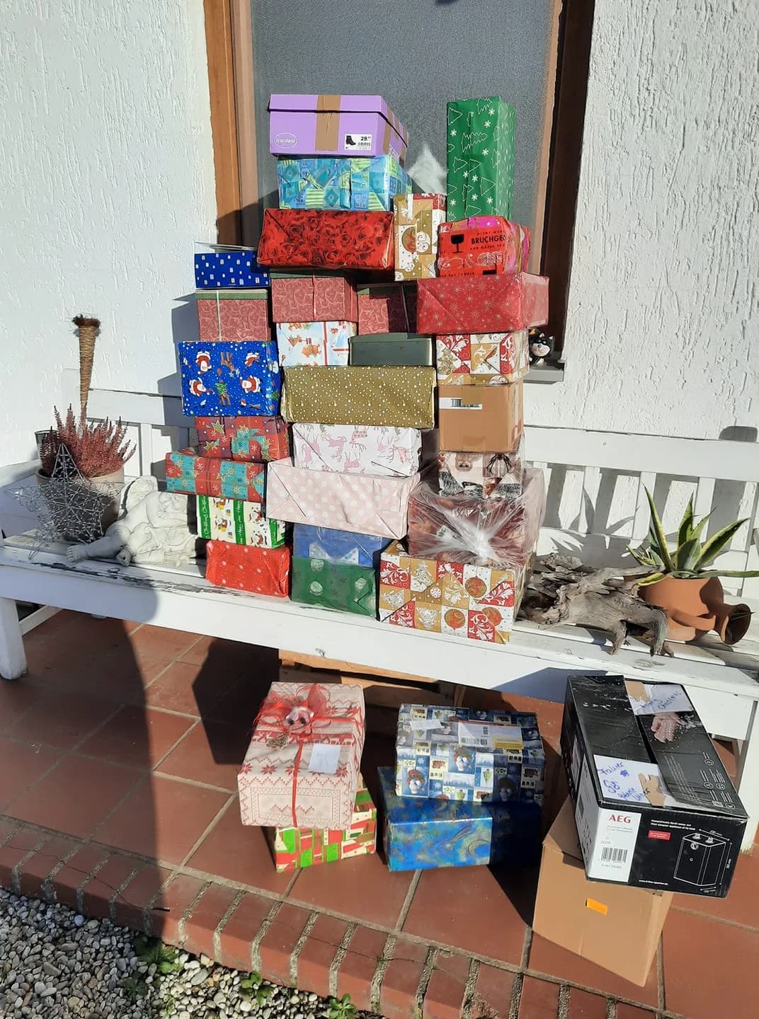 Weihnachten für unsere Tierschützer 2020,  Mixed Breed for adoption at Animal Souls e.V.