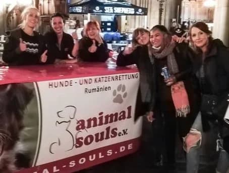 2. Basel Vegan Messe – wir waren dabei,  Mixed Breed for adoption at Animal Souls e.V. — photo 4 of 4