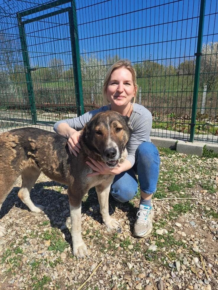 Héra, female young Mixed Breed for adoption at Canifair e.V., Kaarst