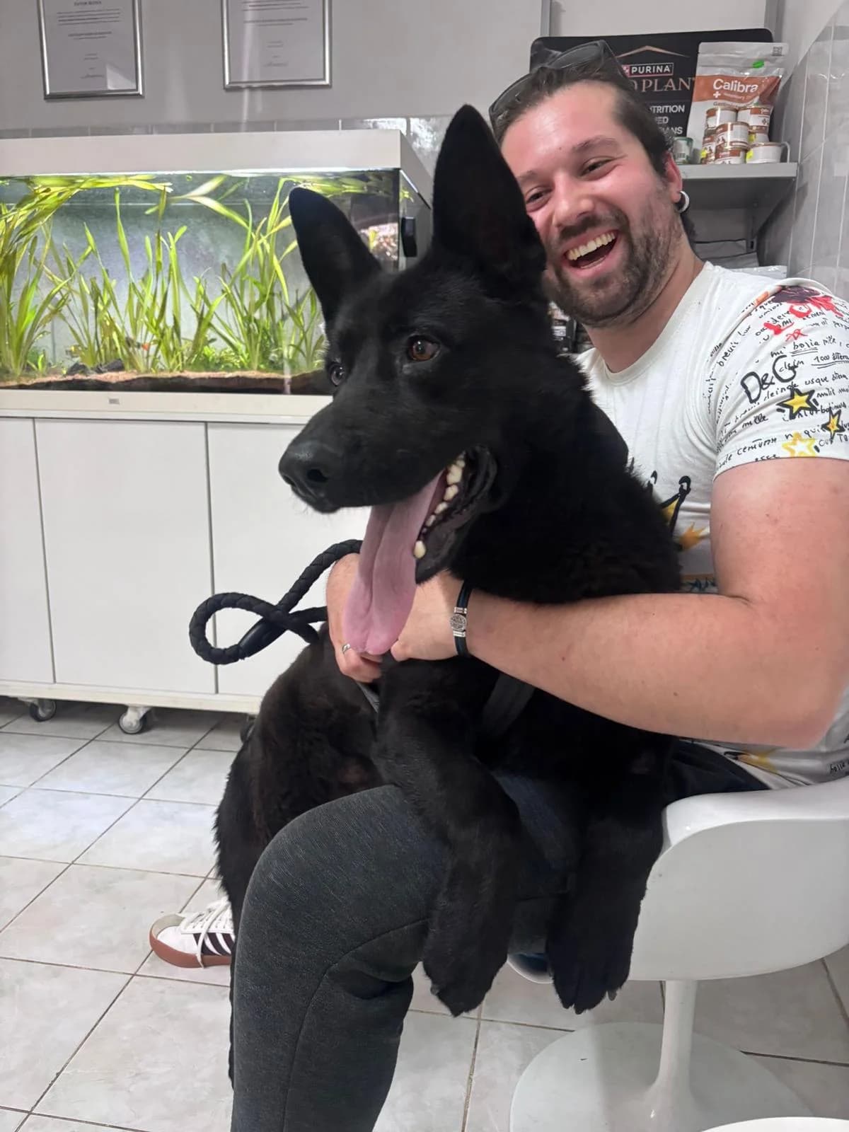 Oscar, male 3yo Mixed Breed for adoption at Fellnasen Stuttgart e.V., Stuttgart