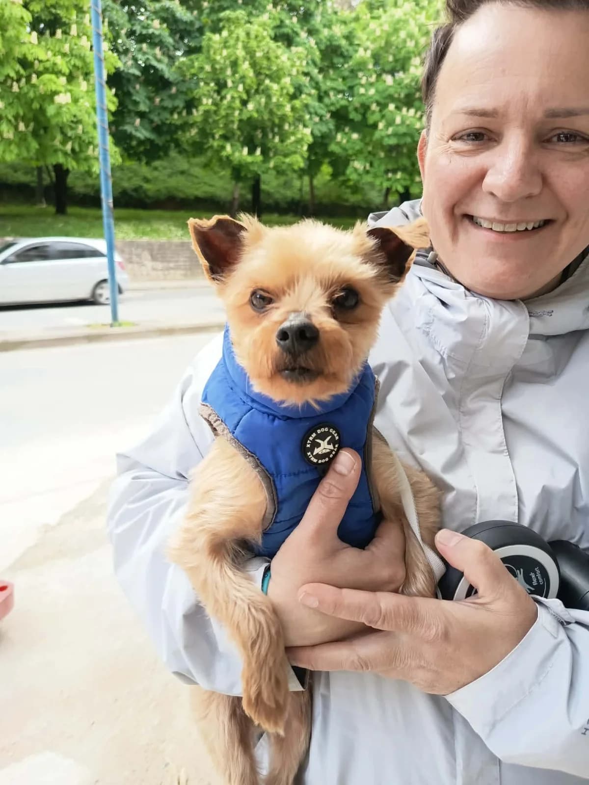 Rizos, male senior Mixed Breed for adoption at Fellnasen Stuttgart e.V., Stuttgart