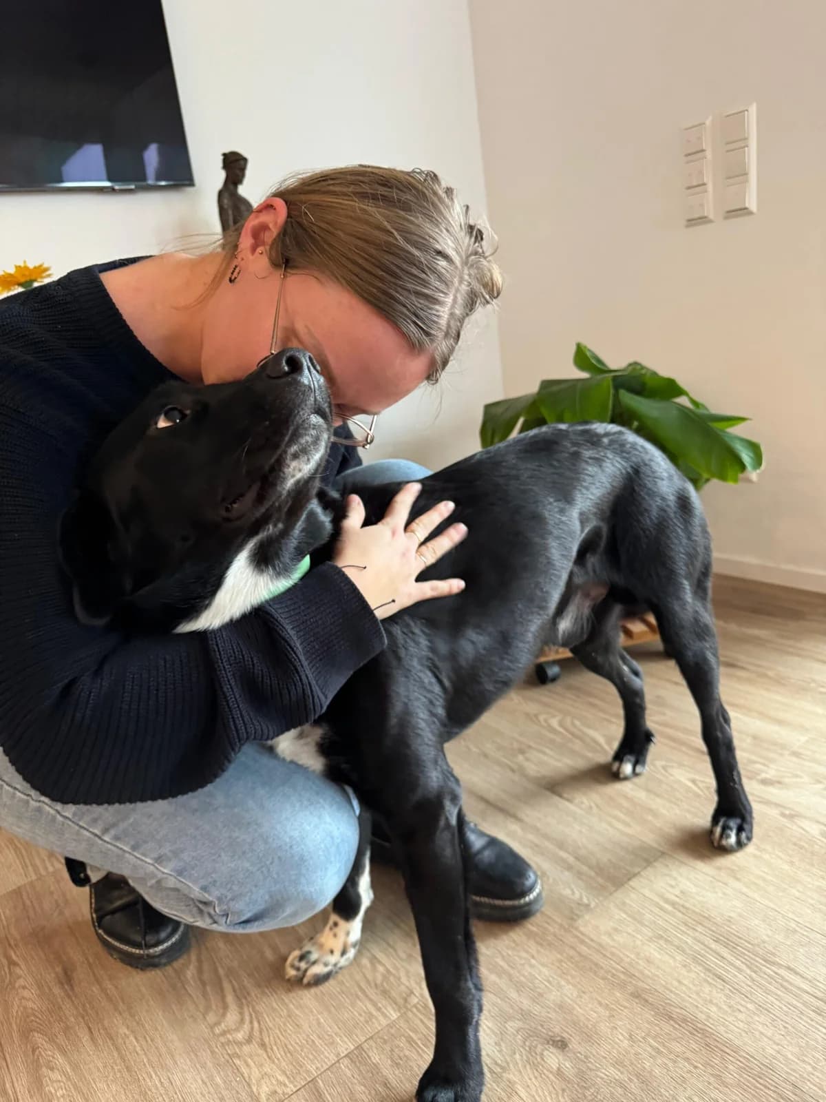 Snoopy, male young Mixed Breed for adoption at Fellnasen Stuttgart e.V., Stuttgart